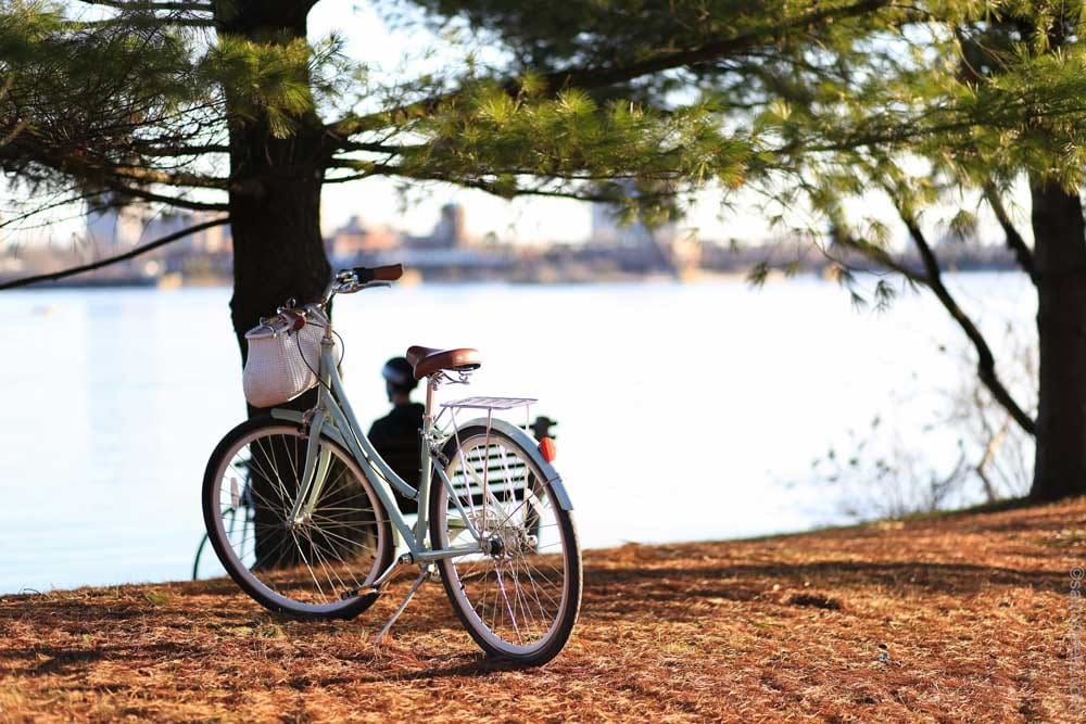 que ver en canada oeste bicicleta apoyada en un árbol y detrás un lago